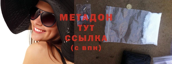 хмурый Аркадак