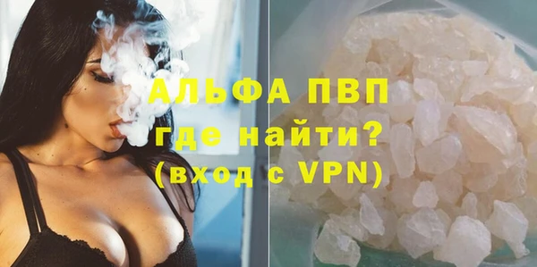 хмурый Аркадак