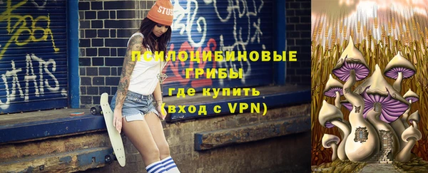 гашик Армянск
