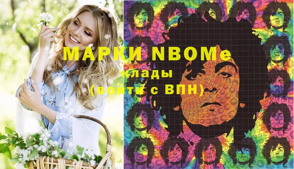 хмурый Аркадак