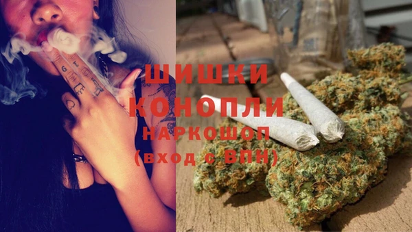 хмурый Аркадак