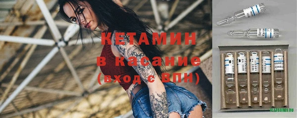 хмурый Аркадак