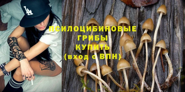 дмт Дмитриев
