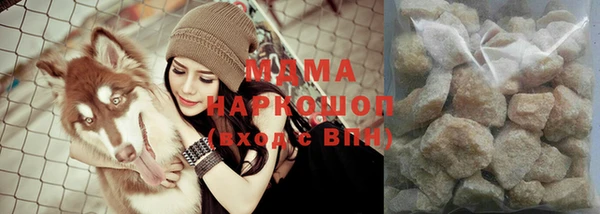 хмурый Аркадак